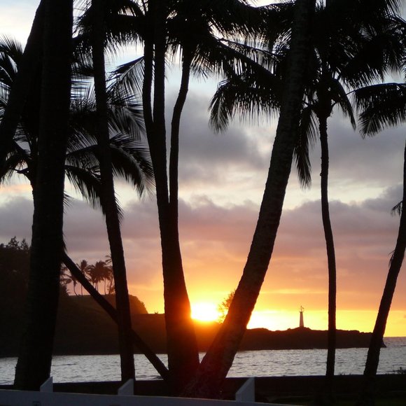 Clearance: Everything Must Go. Make An Offer. Bundle & Save. Buy Now! - Picture 13 of 17